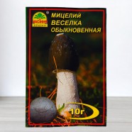 Міцелій гриба Веселка звичайна, 10г